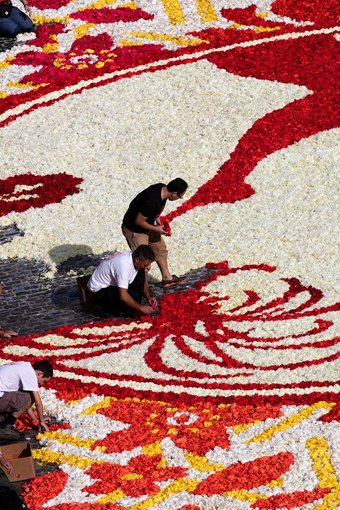 flower carpet 2016