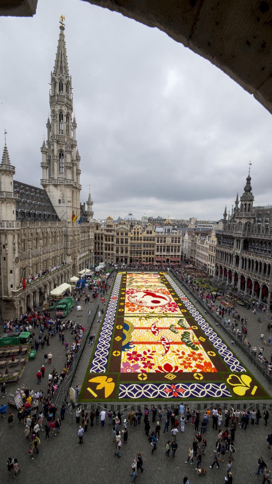 flower carpet 2016