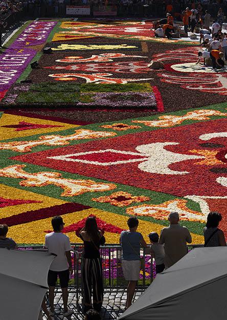 flower carpet 2022